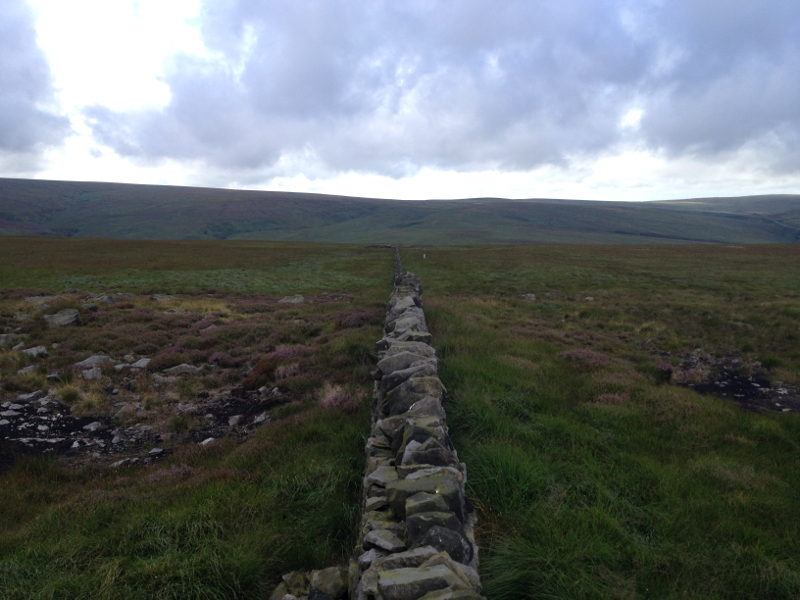 Peak-District_Meltham-Moor_Scope-Moss_1